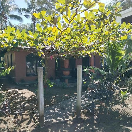 Micheck Beach House 托尔图格罗 外观 照片