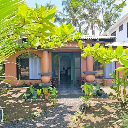 Micheck Beach House 托尔图格罗 外观 照片