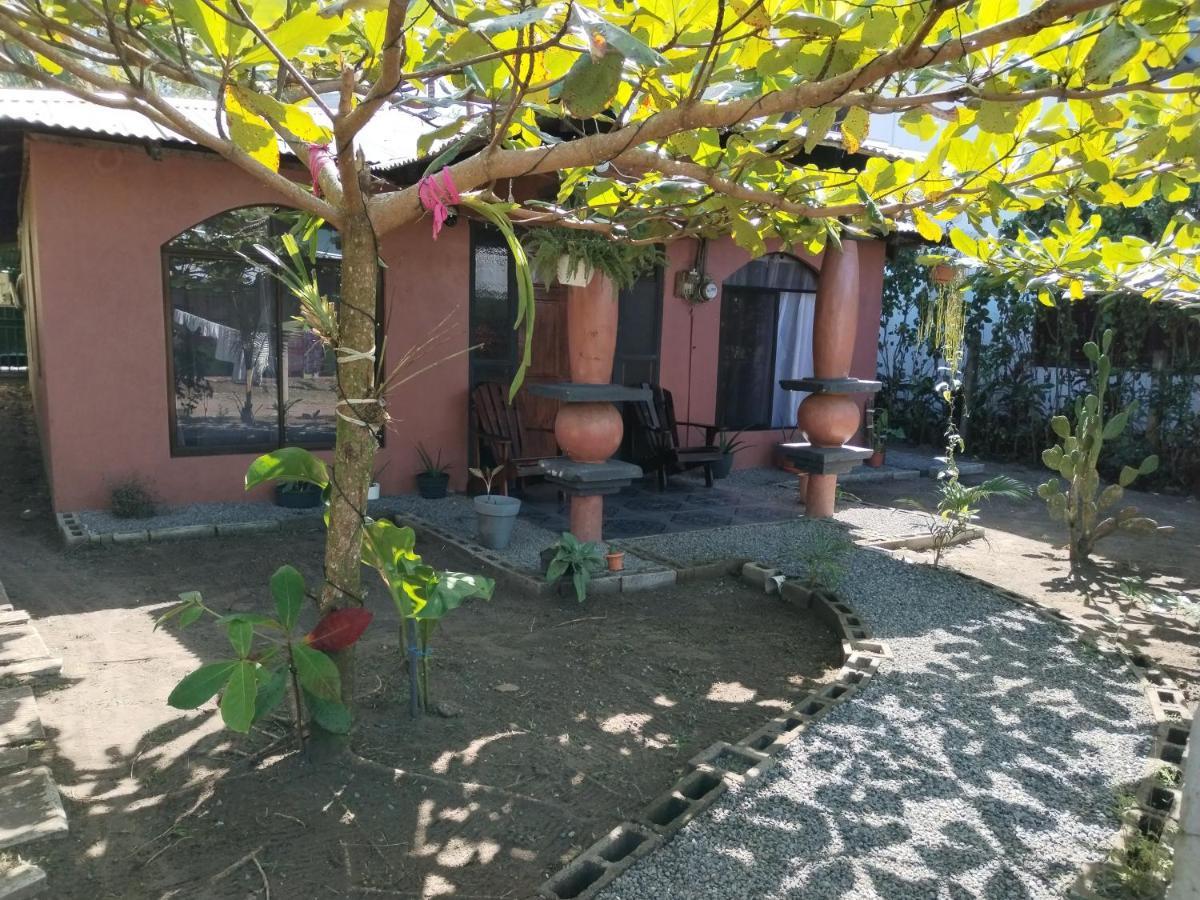 Micheck Beach House 托尔图格罗 外观 照片