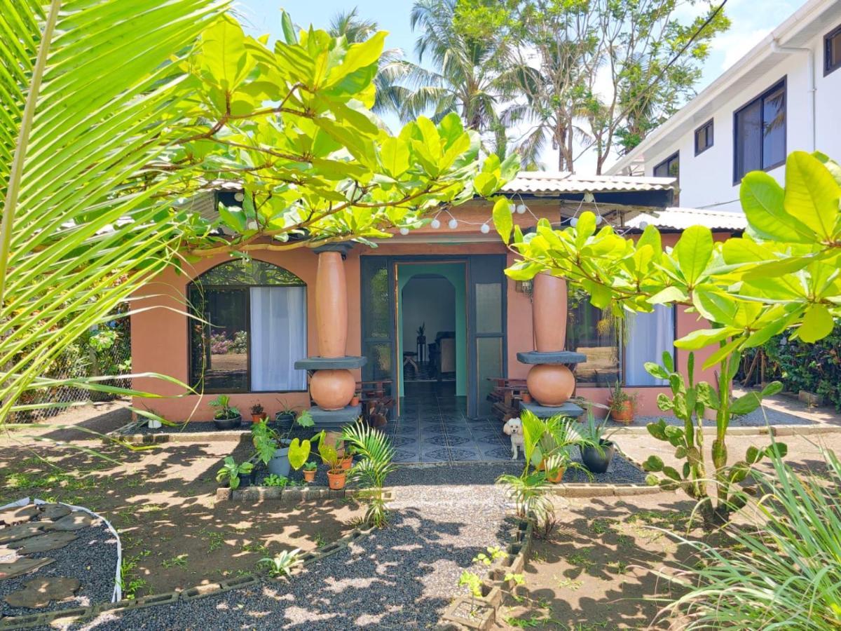Micheck Beach House 托尔图格罗 外观 照片